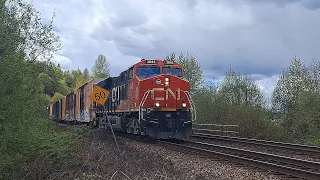 Train Meet! CN Manifest Train Meets Coal Train At Langley British Columbia Canada
