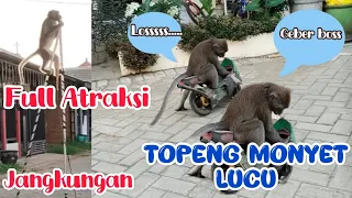 FULL ATTRACTION Topeng Monyet Lucu | Balapan Motor#trending #viral #ngakak #lucu