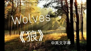 ✔Wolves 《狼》－Selena Gomez, Marshmello 中文字幕✔