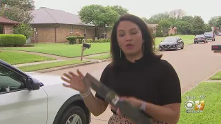 Plano Woman Shares Dangerously Close Encounter With Mower Blade On LBJ Freeway