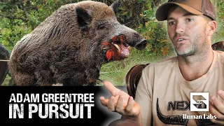 Saving A Friend From A Wild Boar Attack | Adam Greentree: In Pursuit #4