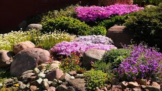 Отличные примеры садового дизайна / Great examples of garden design