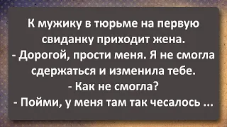 Свиданка! Сборник Самых Свежих Анекдотов!