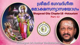 ശ്രീമദ് ഭഗവദ്ഗീത മോക്ഷസന്യാസയോഗം| Sri Nochur Swami | Bhagavad Gita Chapter 18(Palakkad 2016).