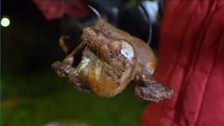 Курица в необычном ореховом маринаде