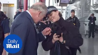 Prince Charles meets security and sniffer dog at Heathrow - Daily Mail