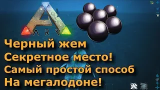 Черный жемчуг в ARK на Мегалодоне либо киркой! Простой способ добыть и найти черный жемчуг в АРК! 😎