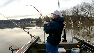 Blue catfish are biting again (Ohio River)