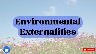 Environmental Externalities