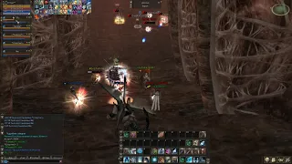 Euro pvp x1200фаныEuro pvp Lineage 2