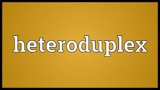 Heteroduplex Meaning