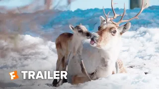 A Reindeer's Journey Trailer #1 (2019) | Movieclips Indie