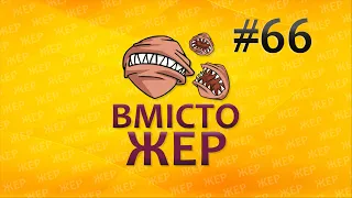 Вмістожер 66 — Ґендерні стереотипи