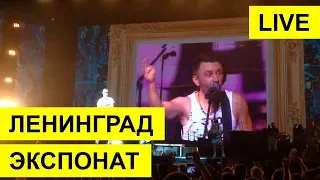 Ленинград - Экспонат (live)