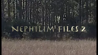 Nephilim Files 2 Florida Giants Revealed Hiding In Diffusion