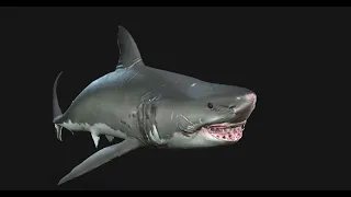 (Unreal Engine) Great White Shark