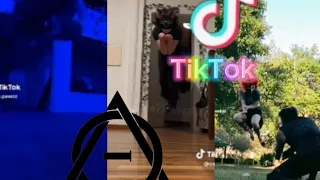 Therian and Quadrobics TikToks || Complaction 🐾🍂 || Alterhumans of TikTok #2