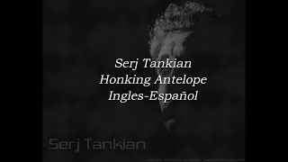 Serj Tankian - Honking Antelope Subtitulado (Español-Lyrics)