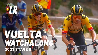 LIVE: Vuelta a España 2023 Stage 8 Watchalong with LRCP | Lanterne Rouge Cycling Podcast