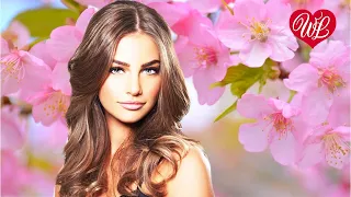 ВИШНЯ В САДУ ♥ ХИТЫ ШАНСОНА ДЛЯ ТАНЦПОЛА WLV ♥ ПЕСНЯ ЗАЖИГАЛКА ♥ RUSSISCHE MUSIK RUSSIAN MUSIC HITS