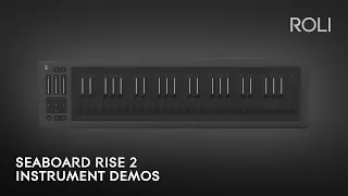 Watch the new all-black Seaboard RISE 2 in action