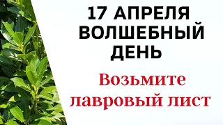 17 апреля - Счастливый день. Используйте лавровый лист | Лунный Календарь