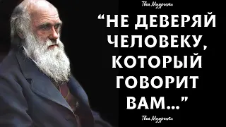 Лучшие Еврейские Пословицы и Поговорки о жизни, доверии и мудрости | Еврейские цитаты и Афоризмы