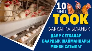 10 миң ТООКко ылайык даяр СЕТКАЛАР сатылат ~ Суу ичкен, жем жеген, кык тазалаган шаймандары бар