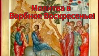 Молитва в Вербное Воскресенье !#god #prayer