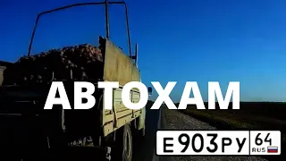 Автохам №419