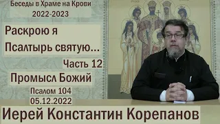 "Раскрою я Псалтырь святую..."  Часть 12.  Цикл бесед иерея Константина Корепанова (05.12.2022)