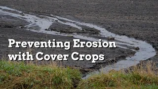 Preventing Erosion with Cover Crops - Practical Cover Croppers