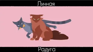 Коты воители. Клип[900п.]-Лунная радуга