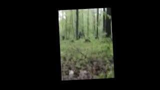 Girl tapes Sasquatch (Bigfoot) or just 2 hunters?