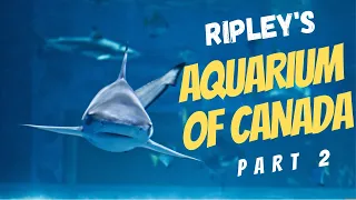 Ripley's Aquarium of Canada - Part 2 | Toronto | 2023