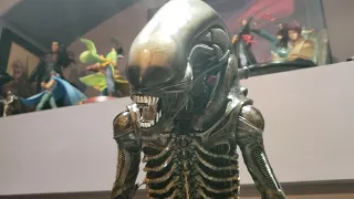 prime 1 alien big chap review