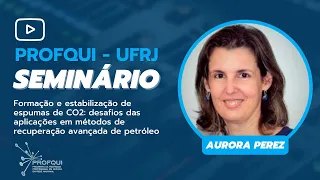 Formação e estabilização de espumas de CO2