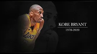 Kobe Tribute! Mamba Day! 8/24!