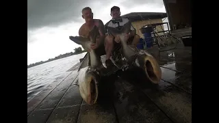 Scottish Fishermen Mekong Catfish & Siamese Carp Fishing Thailand- BKKGUY