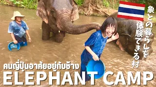 《タイ・チェンマイ》象との暮らしを体験VLOG🇹🇭🐘✨