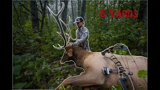 Alberta Archery Elk Hunt - Called Him Into 6 Yards!