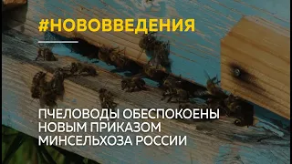 Пчеловоды обеспокоены новым приказом министерства сельского хозяйства России