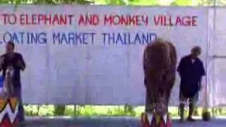 Dancing elephant and monkey lip sync