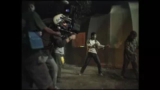 Born to Fight - Behind the Scenes