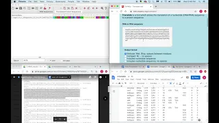 Mitochondrial Genome Annotation Curation | Shannon Leonard