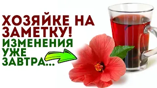 Выпила и побежала! Что творит обычный каркаде с телом человека