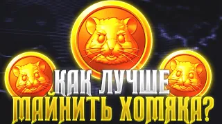 Hamster Kombat - Самый Простой Гайд