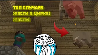 ТОП СЛУЧАЕВ ЖЕСТИ В ЦИРКЕ! ЖЕСТЬ!😨