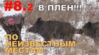 Видео-Охота на кабана и косулю. 8 марта 2017г. #2