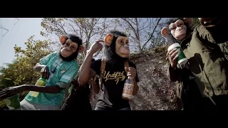 Ralfy The Plug x Kellz x Drakeo The Ruler - "Chunky Monkey" | Shot By : @VOICE2HARD